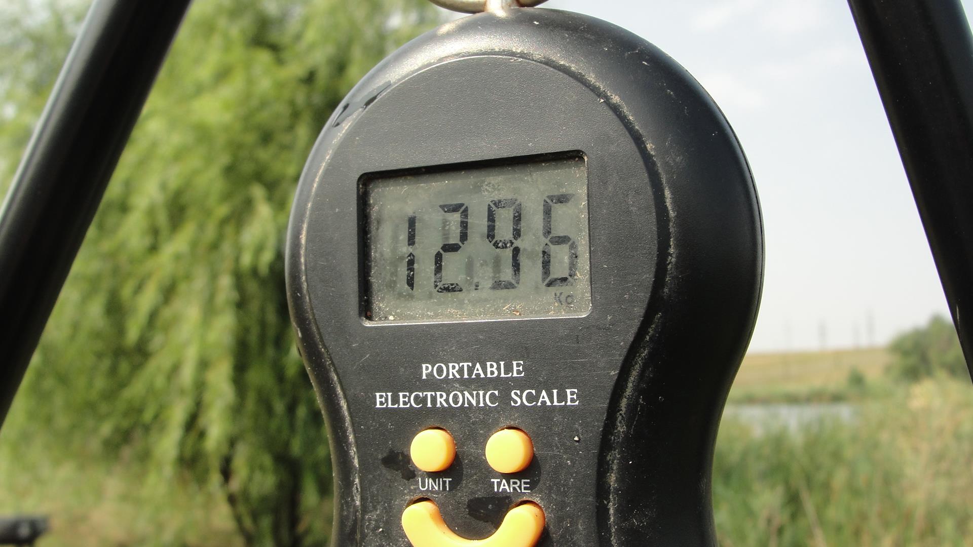 Balta LAZAR Alexandria  15 - 16 aug. - dsc01454.JPG